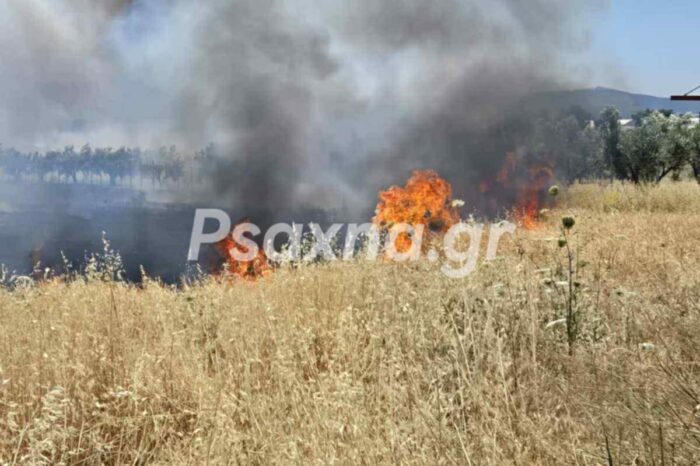 Τέθηκε υπό έλεγχο η φωτιά στη Ριτσώνα