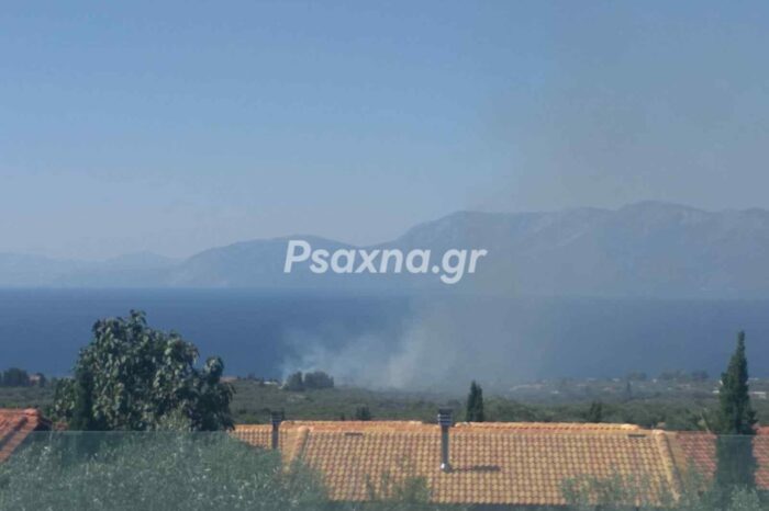 Φωτιά στα Λουκίσια