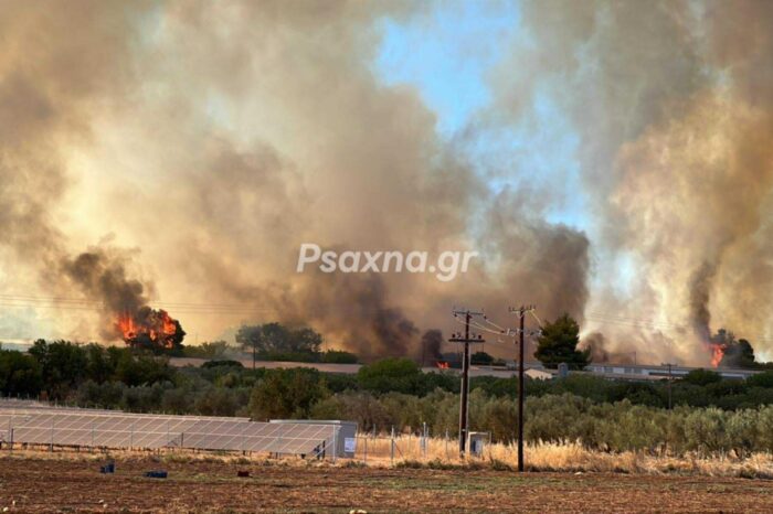 Ανακοίνωση Δημάρχου για όσους παραγωγούς των κοινοτήτων Τριάδας και Πισσώνα επλήγησαν από τη φωτιά