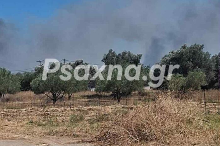 Οριοθετήθηκε η φωτιά στο Αλιβέρι