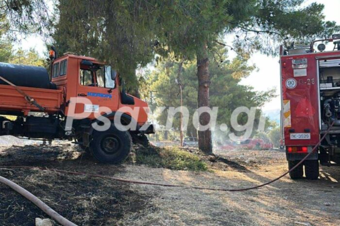 Φωτιά στους Καθενούς - Εντοπίστηκε από  Πυροφύλακα