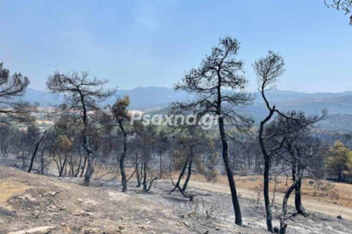 Εικόνες μεγάλης καταστροφής με το πρώτο φως της ημέρας μετά τη μεγάλη φωτιά