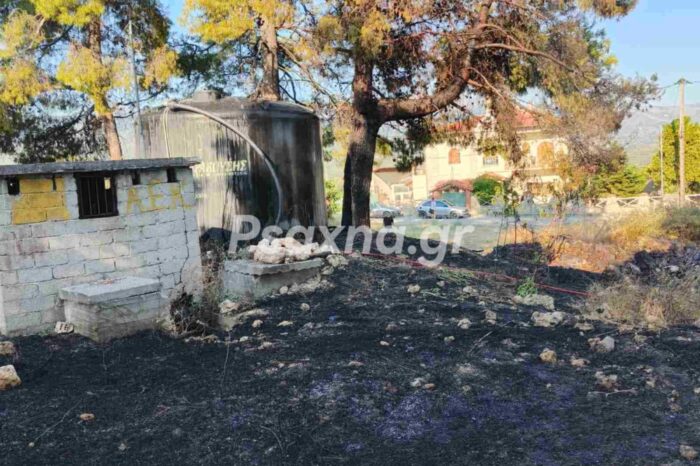 Καθοριστική η συμβολή των Δημοτικών  Πυροφυλάκων στην Πυροπροστασία του Δήμου - Εντόπισαν αμέσως τη φωτιά στους Καθενούς