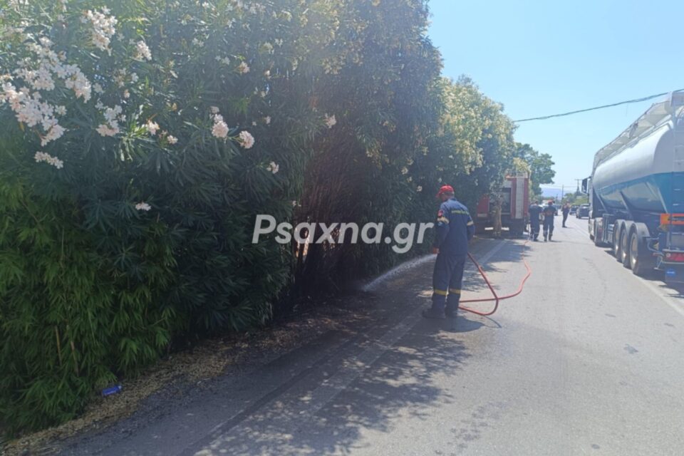 Φωτιά στην Ερέτρια