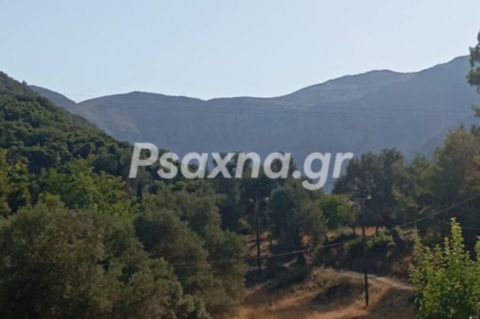 Αναζητείται ζευγάρι περιπατητών στη «Ράχη» του Δήμου Διρφύων Μεσσαπίων-Πυροσβεστική, Εθελοντές, Δήμαρχος, και Drone στις έρευνες για τον εντοπισμό τους (Συνεχής ενημέρωση)