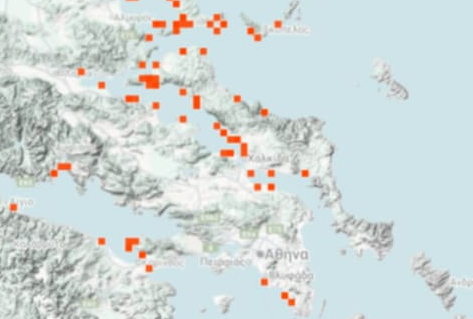 Χάρτης δείχνει live σε ποιες περιοχές βρίσκονται οι μωβ  μέδουσες- Οι «επικίνδυνες» παραλίες