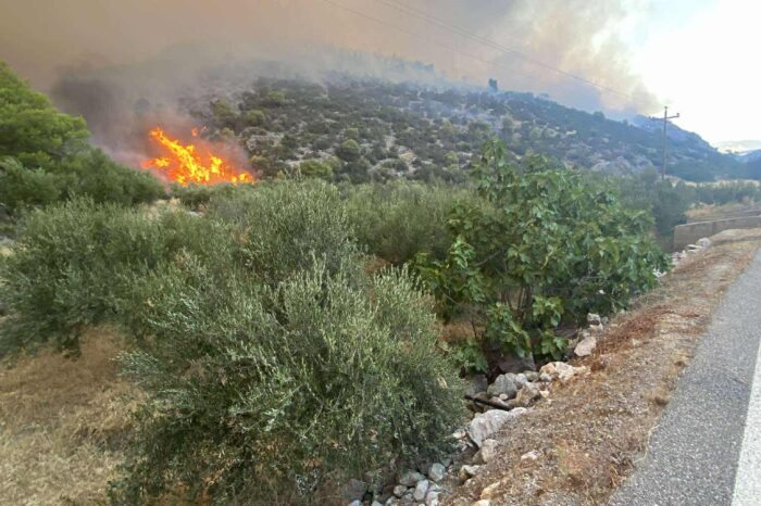 Η Δήμαρχος Χαλκιδέων Έλενα Βάκα ζητάει να κηρυχθούν σε κατάσταση εκτάκτου ανάγκης οι Δημοτικές ενότητες Νέας  Αρτάκης και Αφρατίου