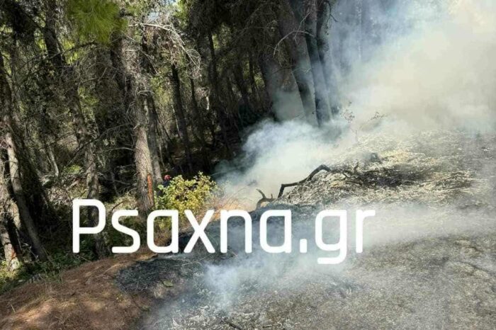 Φωτιές σε Βρυσάκια και Σταυρό