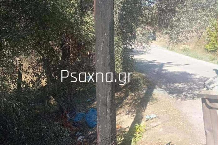 Φωτιά στο ΠΕΙ Δοκού