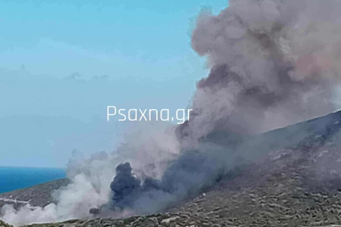 Φωτιά στους Ζάρακες