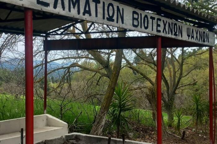 Εθελοντές καθάρισαν το χώρο στη Ζωοδόχο Πηγή