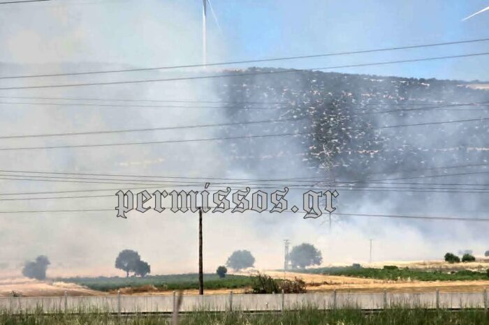 Φωτιά κοντά στην Εθνική Οδό στο ύψος της Ριτσώνας-ΒΙΝΤΕΟ