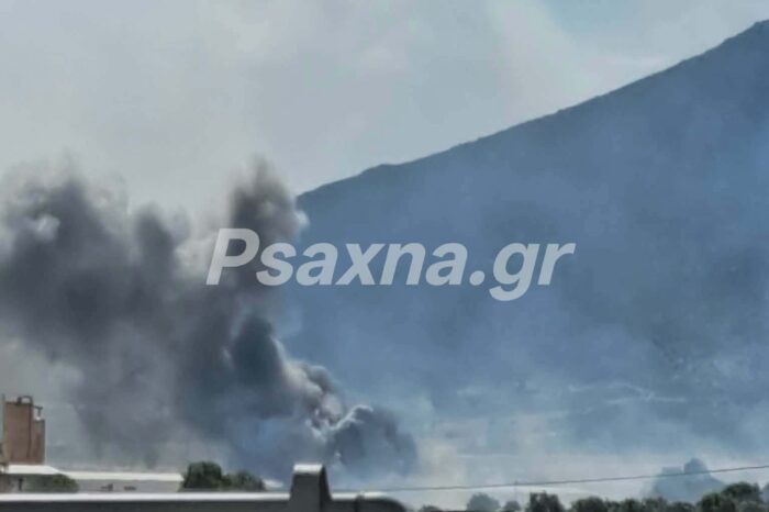 Φωτιά κοντά στην Εθνική Οδό στο ύψος της Ριτσώνας-ΒΙΝΤΕΟ