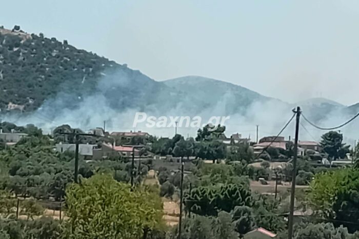 Φωτιά στο Μηλάκι Αλιβερίου