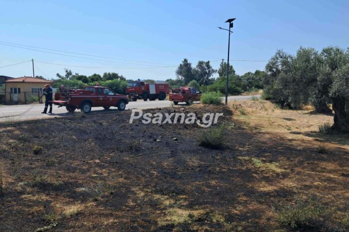 Φωτιά στο δρόμο Ψαχνών - Πολιτικών: Πρόλαβαν τα χειρότερα εθελοντές του ΣΕΔΔΔ Ψαχνών και του ΣΕΑΚ Πολιτικών Νεροτριβιάς