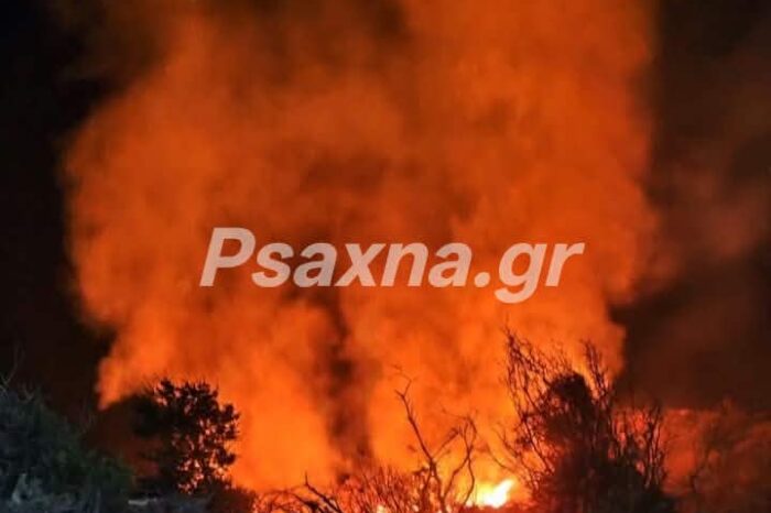 Φωτιά τα ξημερώματα στην Κάρυστο (φωτό)