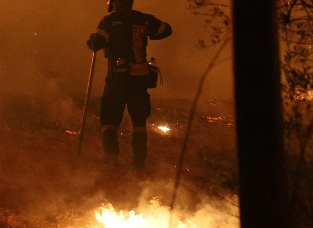 Τραγωδία στο Ωραιόκαστρο Θεσσαλονίκης: Απανθρακώθηκε οδηγός μετά από σφοδρή πρόσκρουση ΙΧ σε κολόνα της ΔΕΗ, ξέσπασε και πυρκαγιά σε χαμηλή βλάστηση