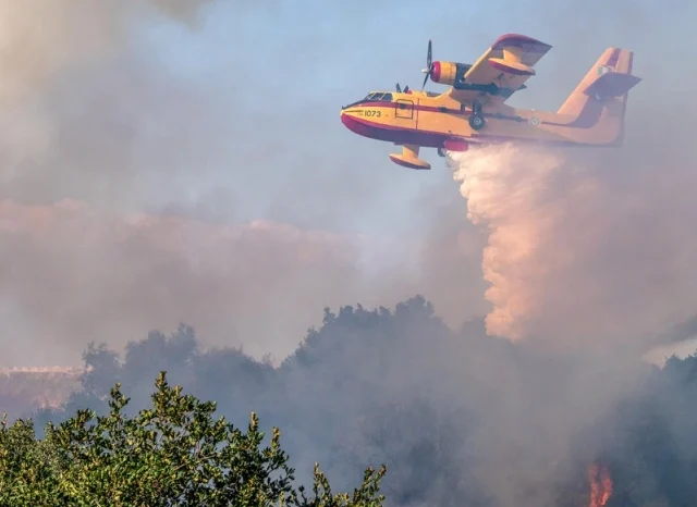 Φωτιά στα Σελίνια Σαλαμίνας, εστάλη μήνυμα από το 112